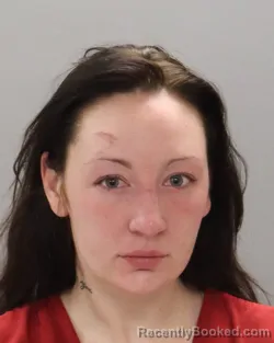 Mugshot of SAVANNAH BROOKE LARKIN