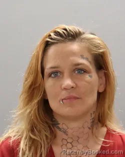 Mugshot of HALEY RAE FARMER booked in Knox County, Tennessee on April 30, 2026