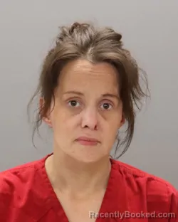 Mugshot of TYANN ELIZABETH SIMERLY