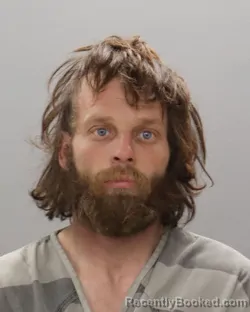 Mugshot of JOEL CAMERON DAVIS