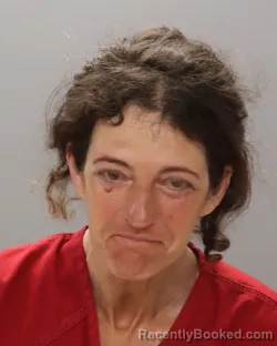 Mugshot of TRACY ANN HERNDON