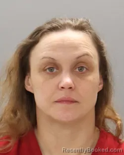 Mugshot of JODI LYNN NOWAK