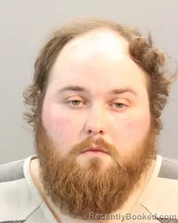 Mugshot of DENNIS ABRAHAM WELLS