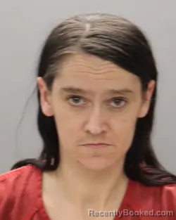 Mugshot of BRITTANY NICOLE CLARK