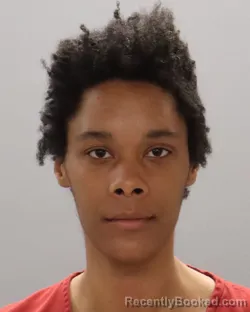 Mugshot of JAMIYAH LANESE JOHNSON
