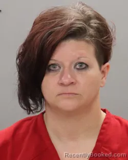 Mugshot of CRYSTAL MICHELLE STANIFER