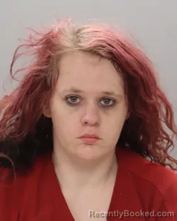 Mugshot of ASHLEY SUZANNE BEELER