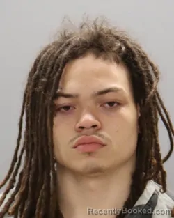 Mugshot of MICHALE WHITE