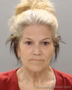 Mugshot of PAULA BERNICE JOHNSON
