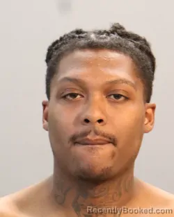 Mugshot of ANDRE DOMMINGO WILSON