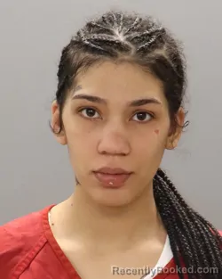Mugshot of KYLIE DENISE RAY
