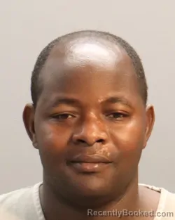 Mugshot of AMINI SEKIBIBI booked in Knox County, Tennessee on May 11, 2026