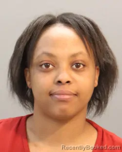 Mugshot of DARISHA ALICE JOHNSON