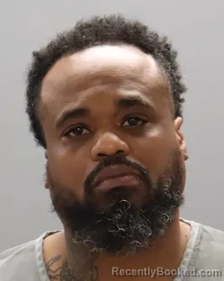 Mugshot of MCKENZIE COREY WEBB