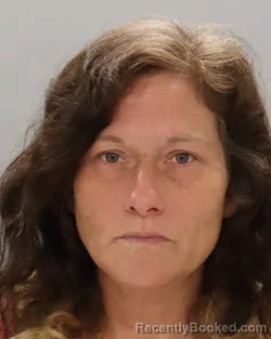 Mugshot of AMANDA MICHELLE CHILDRESS booked in Knox County, Tennessee on June 25, 2026