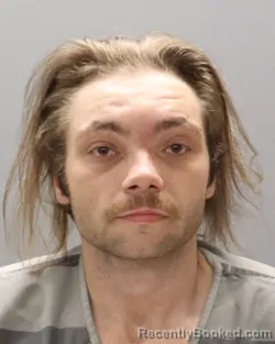 Mugshot of SHAWN MICHAEL LITTLE