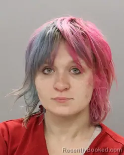 Booking photo from Knox County, Tennessee