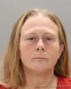 Mugshot of DAWN ELINE LICKLITER