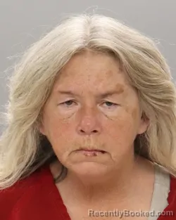 Mugshot of TONYA RENEE FIELDS