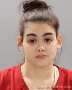 Mugshot of ALEXANDRA R LAPLUME