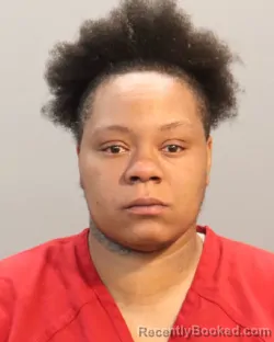 Mugshot of TEENARA LAUNETTA DREW