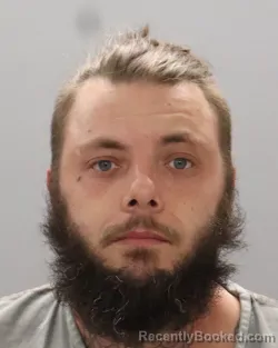 Mugshot of TRAVIS LEE PAYNE