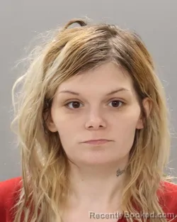 Mugshot of TERESA LEANN MCDANIEL