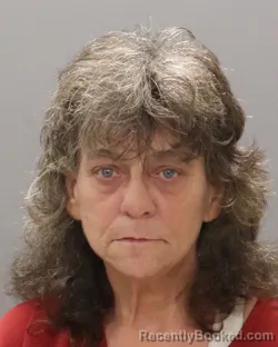 Mugshot of Rita Faye Brown booked in Knox County, Tennessee on September 4, 2026