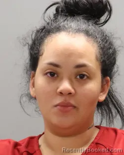 Mugshot of CHYNA LASHAY ECHOLS booked in Knox County, Tennessee on April 29, 2026