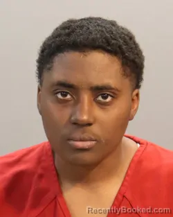 Mugshot of RHIKELAH J CHIGANO