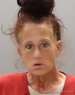 Mugshot of SHEILA MICHELLE CUMMINGS booked in Knox County, Tennessee on April 30, 2026
