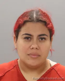 Mugshot of Glendis Mendez Zavala booked in Knox County, Tennessee on September 4, 2026
