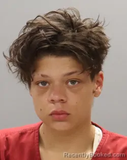 Mugshot of JOYOUS FRANKLIN