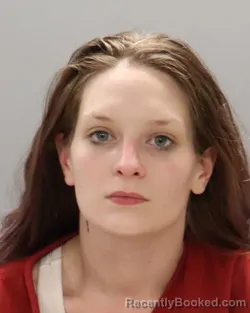 Mugshot of LORI LEANN ANDERSON booked in Knox County, Tennessee on April 30, 2026
