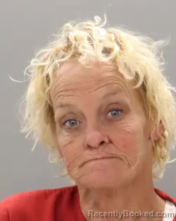 Mugshot of AMY LOVE POSEY