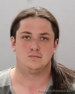 Mugshot of DYLAN AVI VARNER