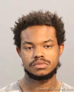 Mugshot of TYQUAN JESSIE RHODES