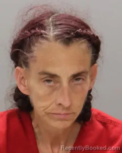 Mugshot of KRISTI LEIGH GIFFORD booked in Knox County, Tennessee on July 6, 2026
