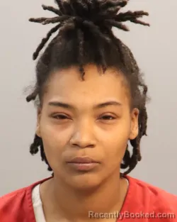 Mugshot of AHMIJAH RASHAY DUKE