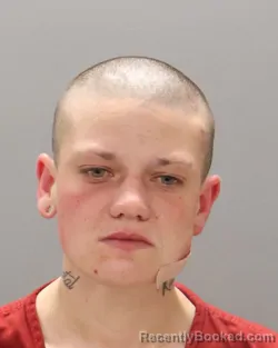 Mugshot of KATIE ANN GIVENS