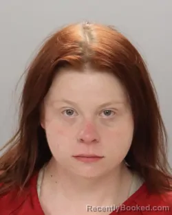 Mugshot of LEANNA BROOKE ELLIS