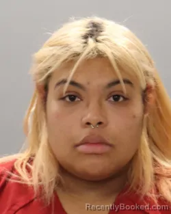 Mugshot of AUDREYANA ROSA RAGLAND