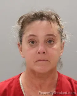 Mugshot of JENNIFER KENNEDY ILAGAN booked in Knox County, Tennessee on April 29, 2026