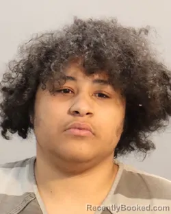 Mugshot of BRANDON CHRISTOPHER WELLS