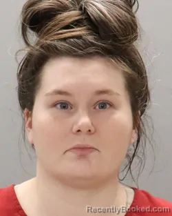 Mugshot of DANIELLE L LANG booked in Knox County, Tennessee on May 4, 2026