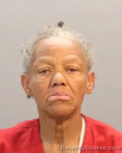 Mugshot of TERRI LYNETTE HOWELL
