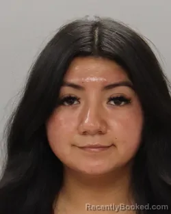 Mugshot of LISETTE BENITEZ MENDOZA