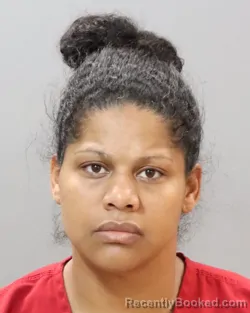 Mugshot of LARISSA S CONNER