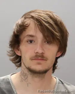 Mugshot of DAKOTA A REAVIS