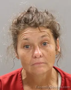 Mugshot of ALICE RENEE VICK booked in Knox County, Tennessee on July 2, 2026